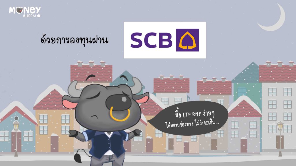 ข้อควรระวังในการซื้อ Ltf และ Rmf - Money Buffalo