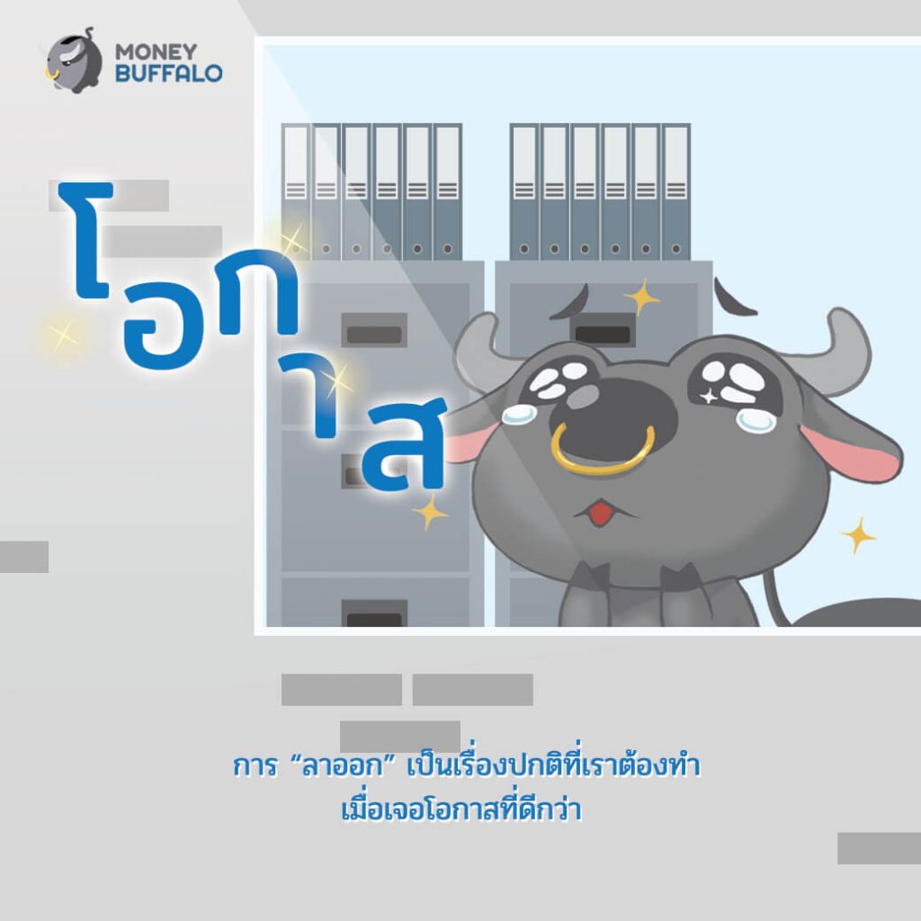 ก่อนลาออก.. อย่าลืมจัดการ “กองทุนสำรองเลี้ยงชีพ” - Money Buffalo