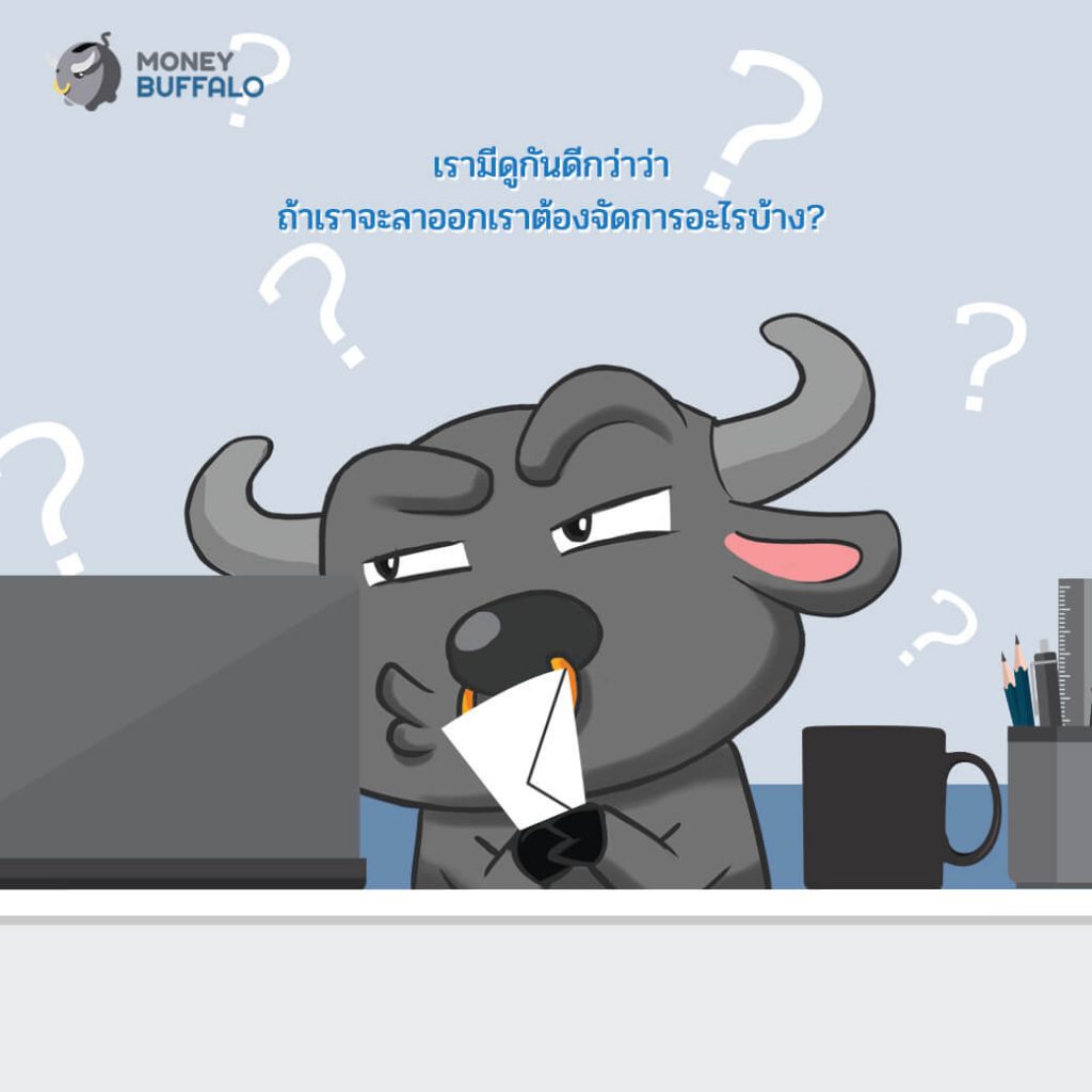 ก่อนลาออก.. อย่าลืมจัดการ “กองทุนสำรองเลี้ยงชีพ” - Money Buffalo