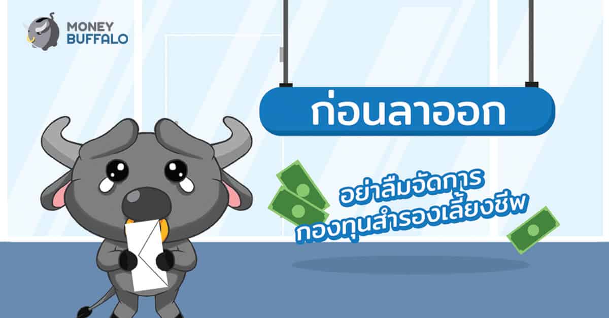 ก่อนลาออก.. อย่าลืมจัดการ “กองทุนสำรองเลี้ยงชีพ” - Money Buffalo