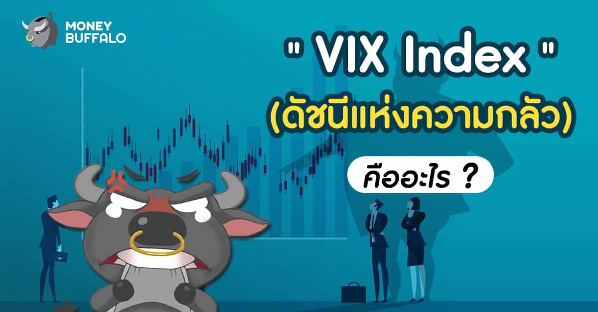 "VIX Index" (ดัชนีแห่งความกลัว) คืออะไร ? Money Buffalo