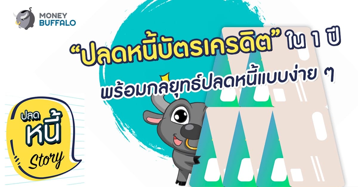 ปลดหนี้บัตรเครดิต” ใน 1 ปี พร้อมกลยุทธ์ปลดหนี้แบบง่าย ๆ - Money Buffalo