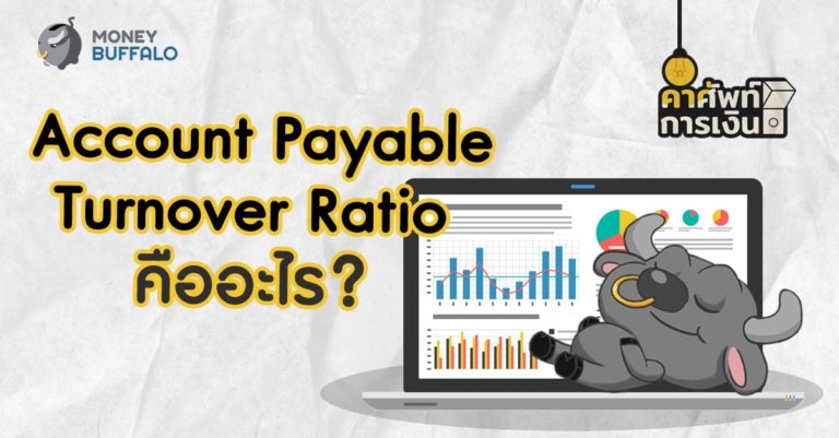 good accounts payable turnover ratio