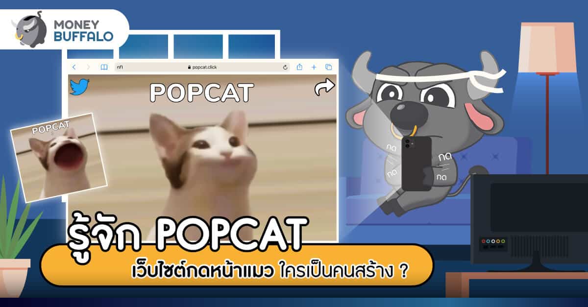 รู้จัก "POPCAT" เว็บไซต์กดหน้าแมว ใครเป็นคนสร้าง ? - Money ...